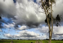 亿万28体育：2025北京昌平延寿越野挑战赛开赛.