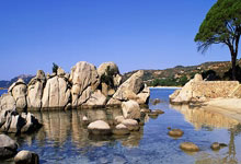 2024年全国路跑赛事规模超700万人2025-03-21.